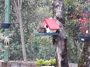 Casa LINDA TÉRREA e SUPER ACONCHEGANTE 3 Suítes