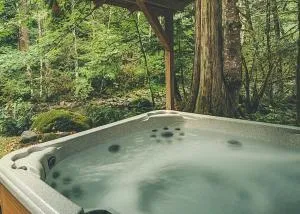 Moondance Cabin - Meredith Lodging - Rhododendron