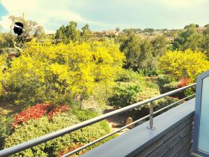 Studio 4 pers Piscine Chauffée accès à pied à la plage Santa Giulia