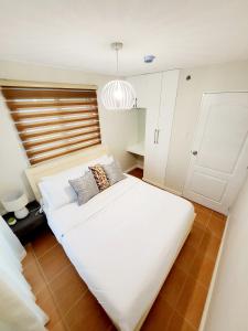 Kates Corner @ One oasis Condo