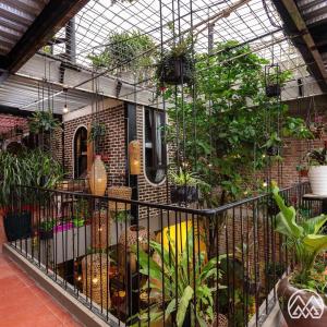 Tam Coc Brothers Homestay - Ninh Bình