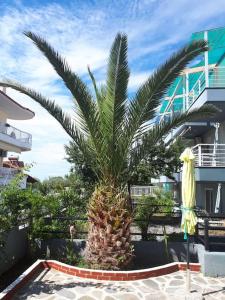 Fanari summer house 2 floors