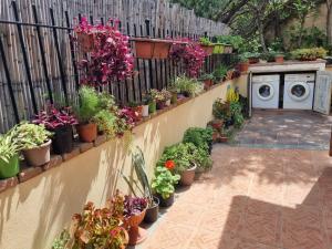 Appartamenti Quilici img41