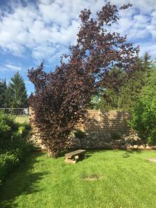 Ferienhaus Typ - Finnhütte