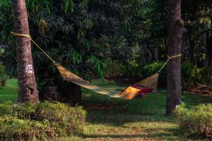 SaffronStays Casa Del Palms - 8BR luxury pool villa with gazebo, pickleball, bar & lawns near Nagaon Beach