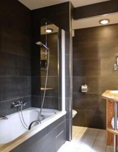 Hotels Le Moulin de Lily : photos des chambres
