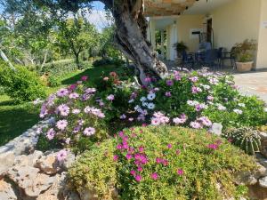 Studio Holiday Kalamata