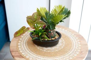 Studio MNG Tomis Villa Promenada 2