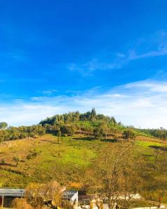 Casa Serra São Mamede