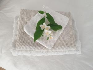 B&B / Chambres d'hotes B&B Maison Juves Planchez Anost Lac des Settons : photos des chambres