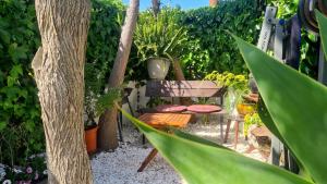 Cozy Garden T1 near the beach