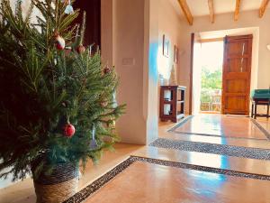 Finca Sa Moleta Nova