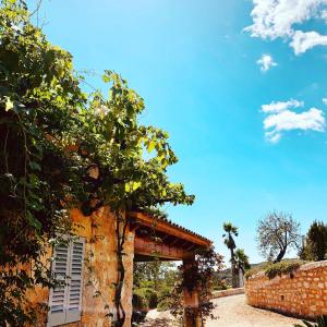 Finca Sa Moleta Nova