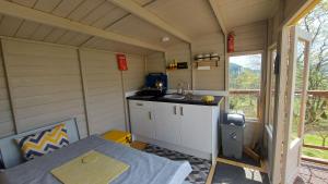 Cae Mawr Yurt Off-Grid Glamping