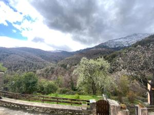 Villas Superbe maison dans village au coeur de la Corse A casa Suttana : photos des chambres