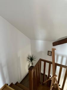 Norderney Apartments