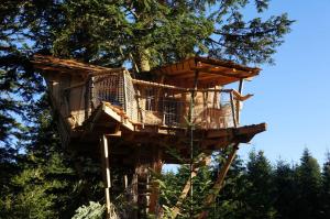 Chalets Cabanes des Volcans : photos des chambres