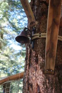 Chalets Cabanes des Volcans : photos des chambres