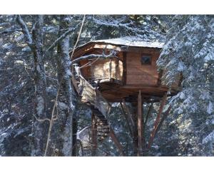 Chalets Cabanes des Volcans : photos des chambres