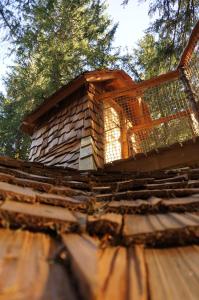 Chalets Cabanes des Volcans : photos des chambres