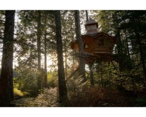 Chalets Cabanes des Volcans : photos des chambres