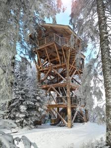 Chalets Cabanes des Volcans : photos des chambres