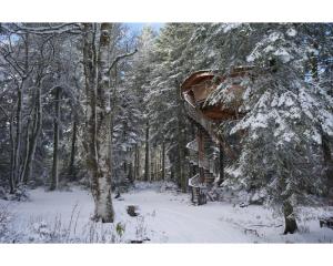 Chalets Cabanes des Volcans : photos des chambres