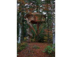 Chalets Cabanes des Volcans : photos des chambres