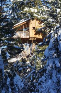 Chalets Cabanes des Volcans : photos des chambres