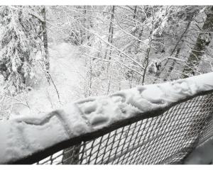 Chalets Cabanes des Volcans : photos des chambres