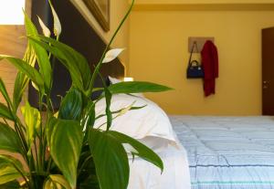 La Pineta - Le Casette di Osvaldo