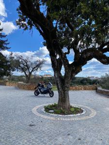 Quinta da Rocha 1875