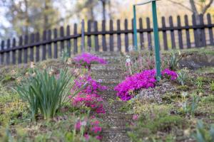 Hiška pod Rudnico 1