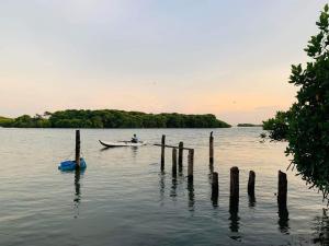 Aurora Lagoon Front