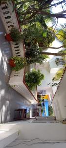 Daphne Hotel