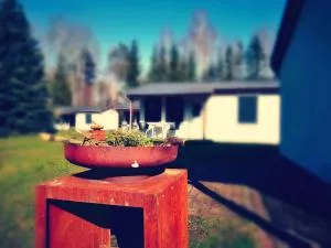 Bungalow Grünewalder Lauch - Staupitz