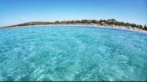 Villa panoramica immersa nel verde