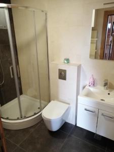 Zlatibor lux apartman i SPA Jeremići