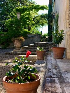 B&B / Chambres d'hotes Mas de Monge : Chambre Double - Vue sur Jardin