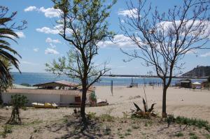 camping feniglia