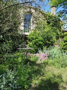 B&B / Chambres d'hotes Le Clos de l'Ambre : Chambre Prestige avec Jardin