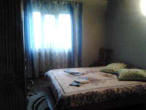 Pensiunea Casa Motilor