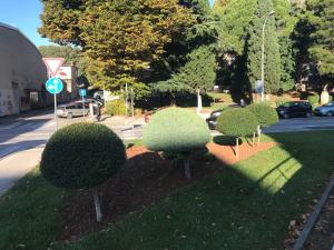 Apartment Angela with private garage slot