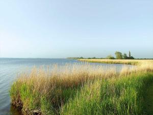 Guldborg Camping & Cottages - Famillyspace