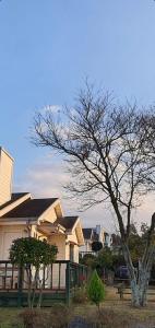 Jeju Skyline Pension