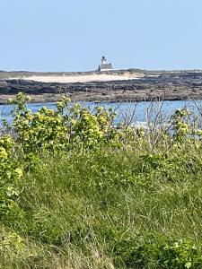 Appartements Appartement Oceane : photos des chambres