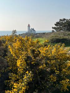 Appartements Appartement Oceane : photos des chambres