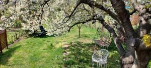 Erdőalján Házikó