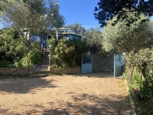 Maisons d'hotes L'oiseau Bleu a CALVI : photos des chambres