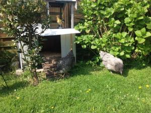 B&B / Chambres d'hotes Le Jardin des Poules : photos des chambres